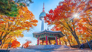 슬라이드 제목 2